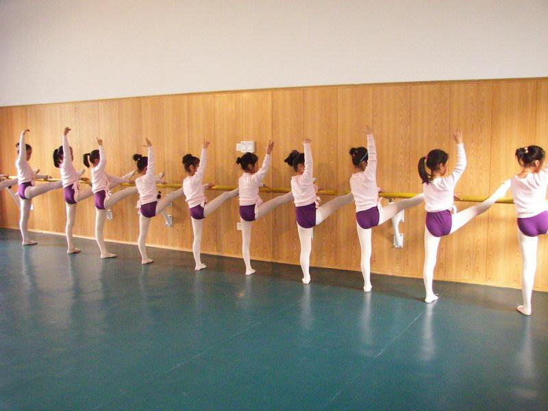 舞蹈地板。舞蹈专用地板。体育舞蹈地板。芭蕾舞蹈地板