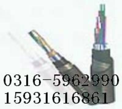 铁路信号电缆PTYA，国标电缆