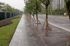压模地坪施工（上海真石丽地坪）提供免费专业施工解决方案