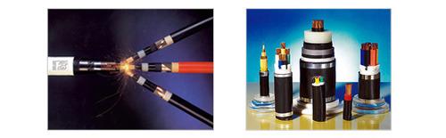 优质宝胜电缆额定电压0.6/1kV铜芯塑料绝缘插接式支线保护型分支电缆