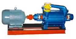 2SK双级水环式真空泵(真空泵厂家丽兴造)