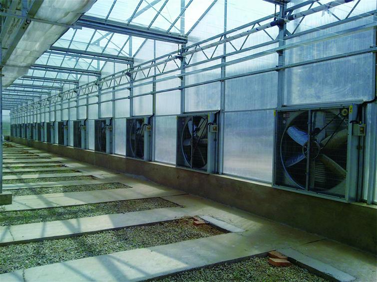种植温室大棚建造