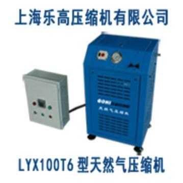 小型高压空气泵  高压呼吸空气压缩机 天然气压缩机