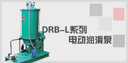 DRB-L系列电动润滑泵JB/ZQ4559-97