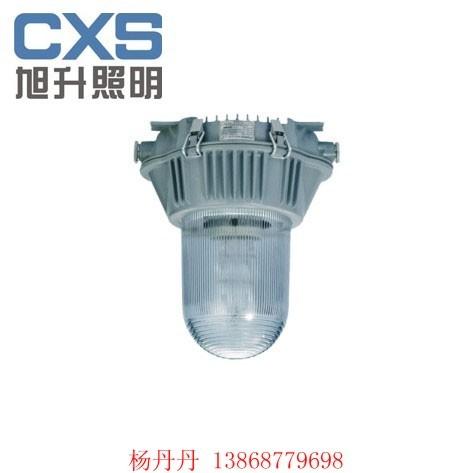 CNFC9180防眩泛光灯，防眩应急灯，电厂灯，无极灯厂家