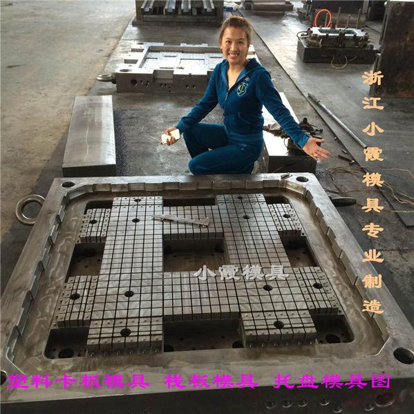 台州塑料模具实力厂家1412PP地板模具自己开模