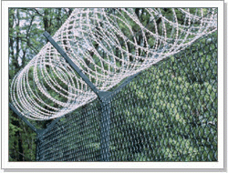 供应园林护栏网、刺绳护栏网、刀片刺绳、路桥用网