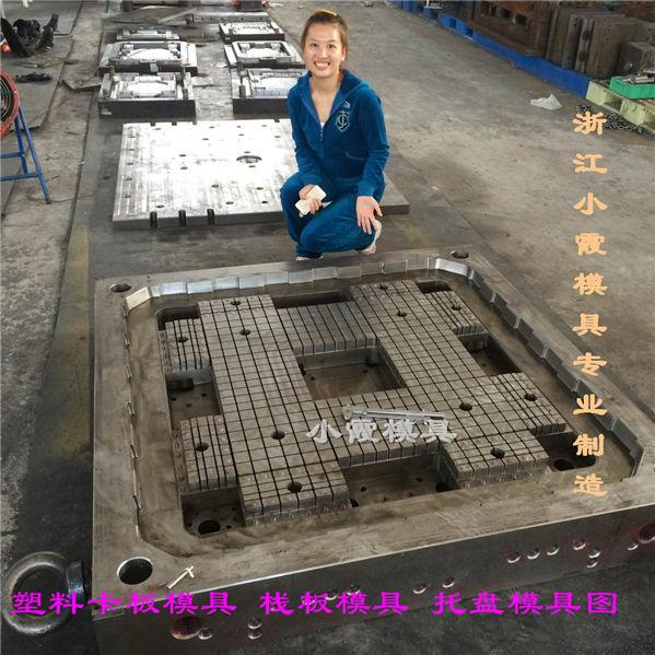 中国注塑模具实力工厂1108塑料地板模具什么牌子好