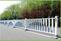 特宇护栏市政道路隔离护栏锌钢护栏