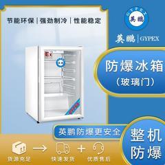 廣州防爆冰箱冷藏柜實驗室制藥單門立式BL-100L