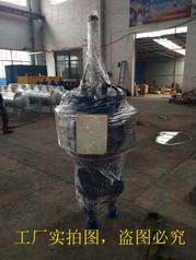 杭州厂家生产物化水处理器