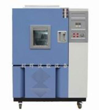 DHS-500低温恒温恒湿试验箱