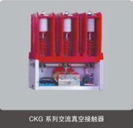 CKG-630/6KV高压真空接触器
