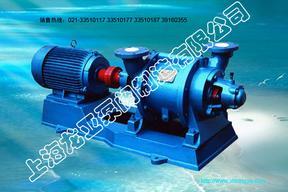 SK型水环式真空泵及压缩机(联轴式真空泵)