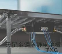 供应天津天星全钢防静电高架地板（TXG系列）