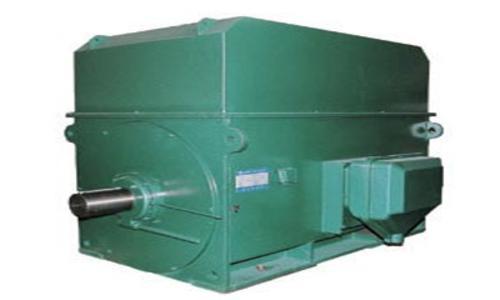 YTM高压磨煤机专用三相异步电动机系列