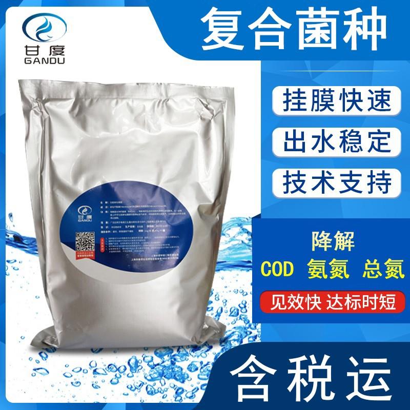 甘度复合菌种 一体化设备调试菌剂降解氨氮总氮COD