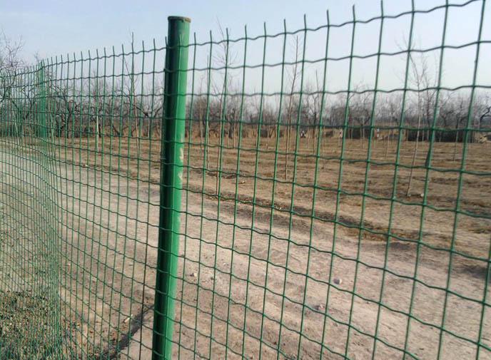 养殖网铁丝网荷兰网围栏网防护网圈地网铁丝网格护栏围挡用网栅栏