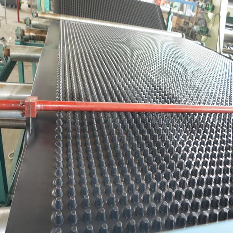 武汉专业生产2公分高凹凸型塑料排水板蓄排水板