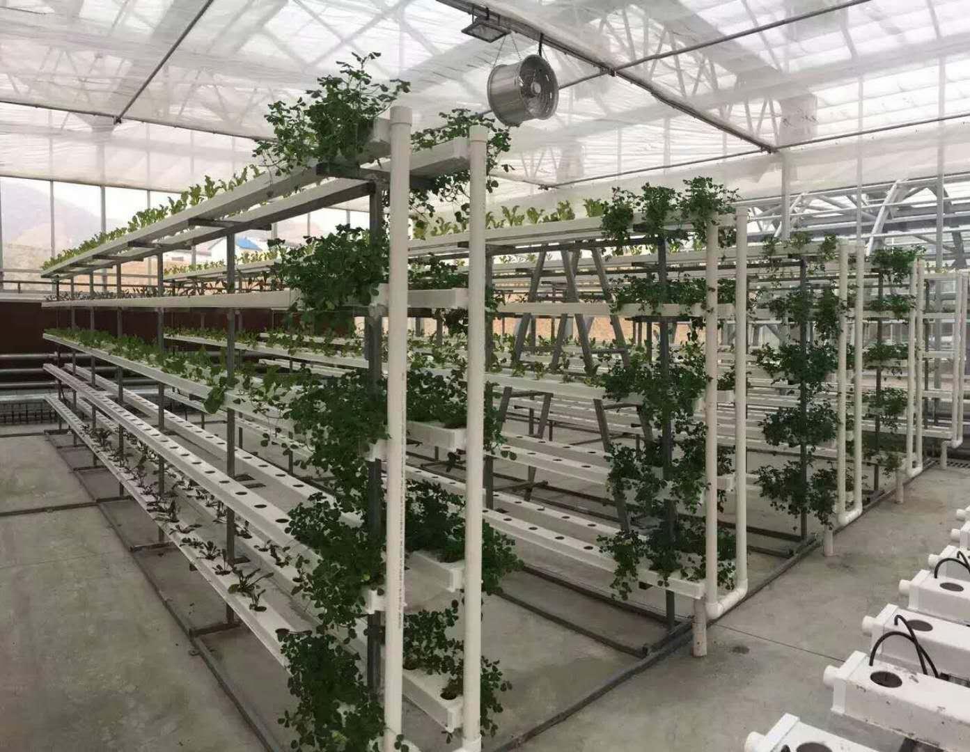温室立体种植蔬菜多层栽培架