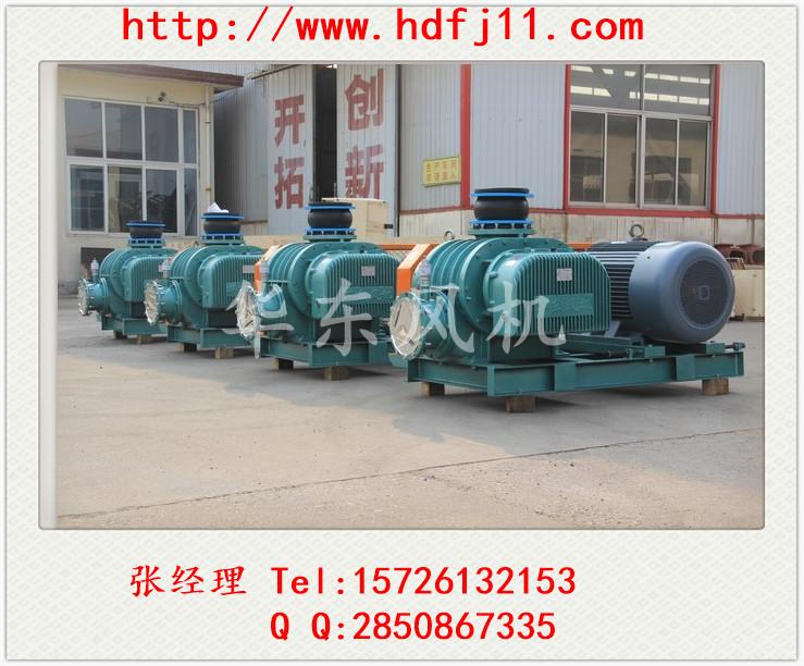 HDSR-V罗茨真空泵（罗茨泵）价格低