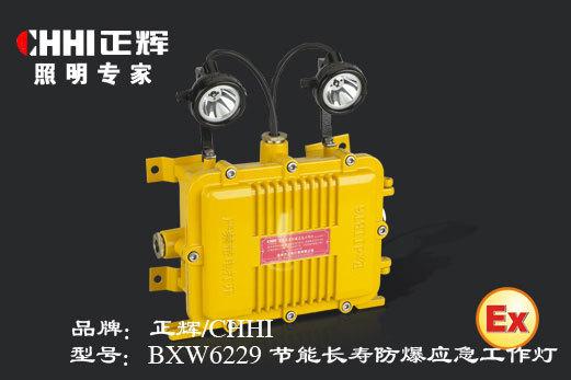 BXW6229节能长寿防爆应急工作灯