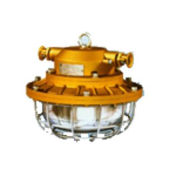 DGS50/127Y(F)矿用隔爆型荧光灯