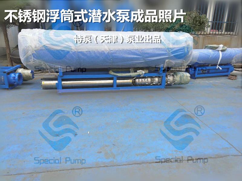 天津浮筒式潜水泵生产厂家