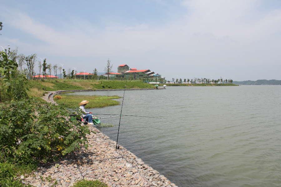 葫芦岛护河石笼网厂家货源 石笼网护河恢复河道生态