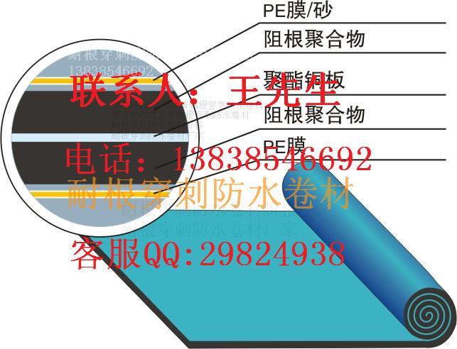 耐根穿刺防水卷材价格|耐根穿刺防水卷材厂家