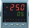 NHR-5700温度巡检仪/多路巡检仪