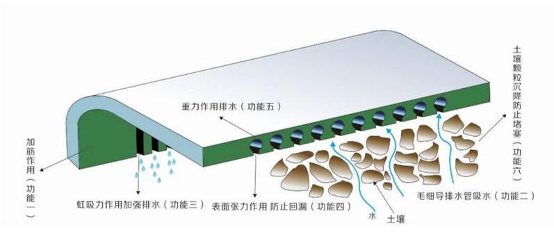 pvc毛细防排水板 供应毛细排水板