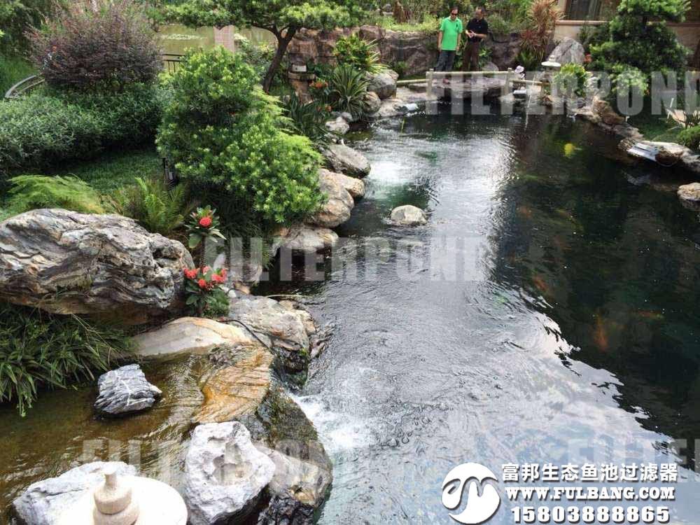 滁州庭院鱼池水过滤哪家棒FILTER POND庭院水净化