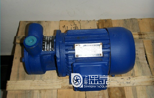 W型漩涡泵 1W2.5-12旋涡泵