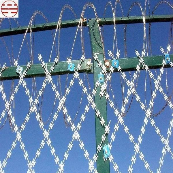 供应刺绳护栏网