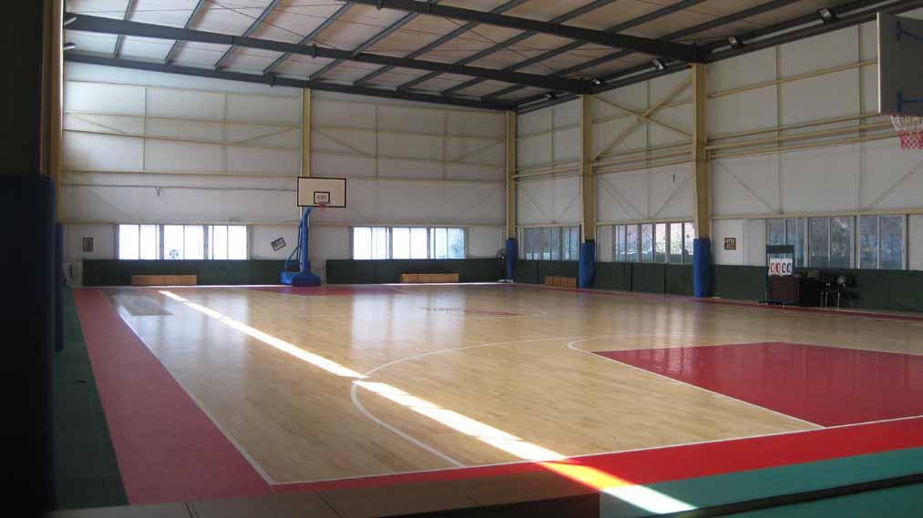 恩宇 篮球专用PVC地板 篮球地胶