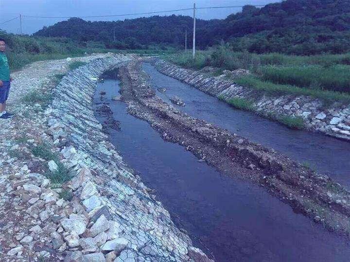 格宾网 水利格宾网 格宾网厂家