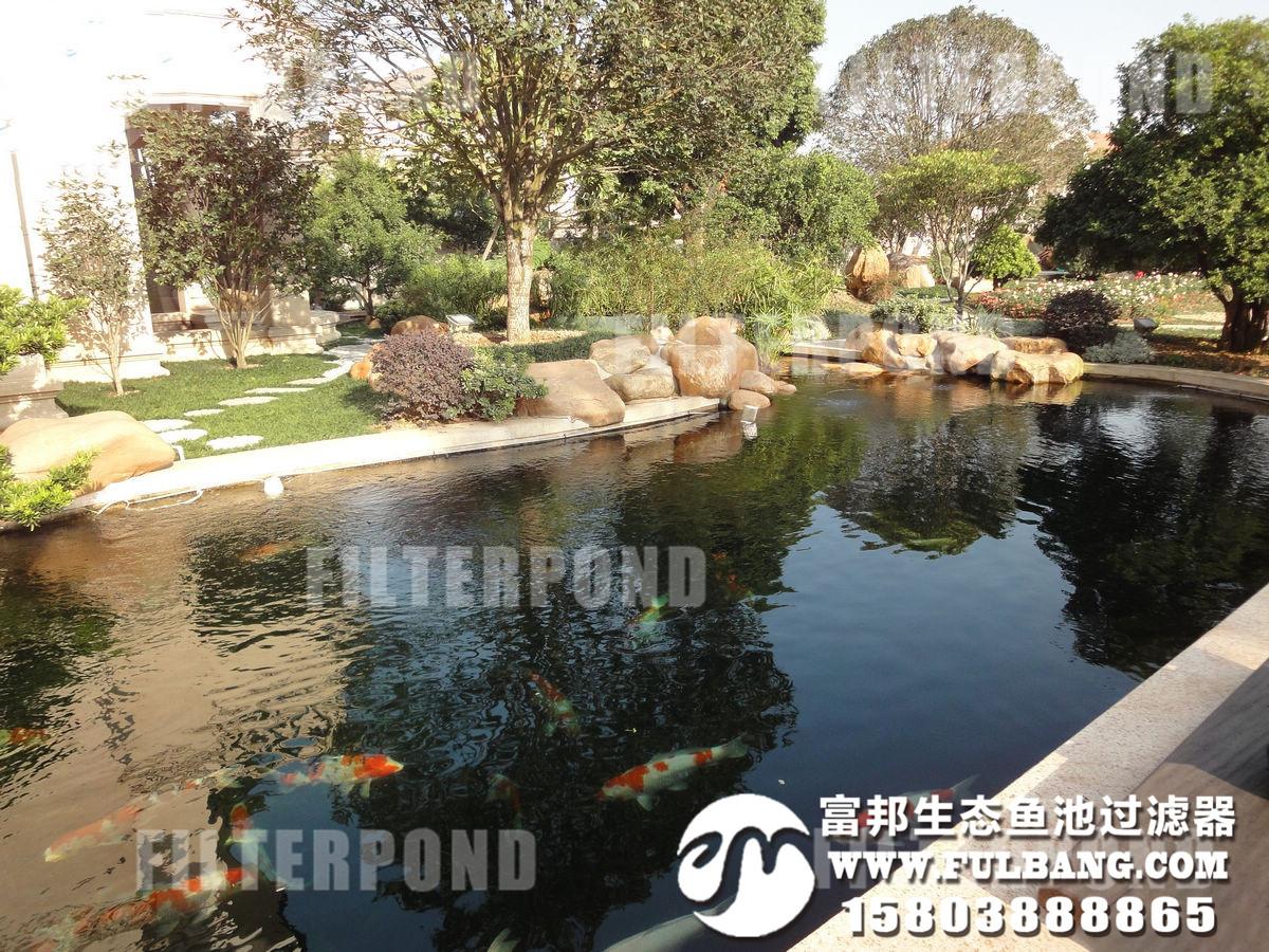 南阳别墅鱼池水处理哪家好FILTER POND 进口锦鲤水循环