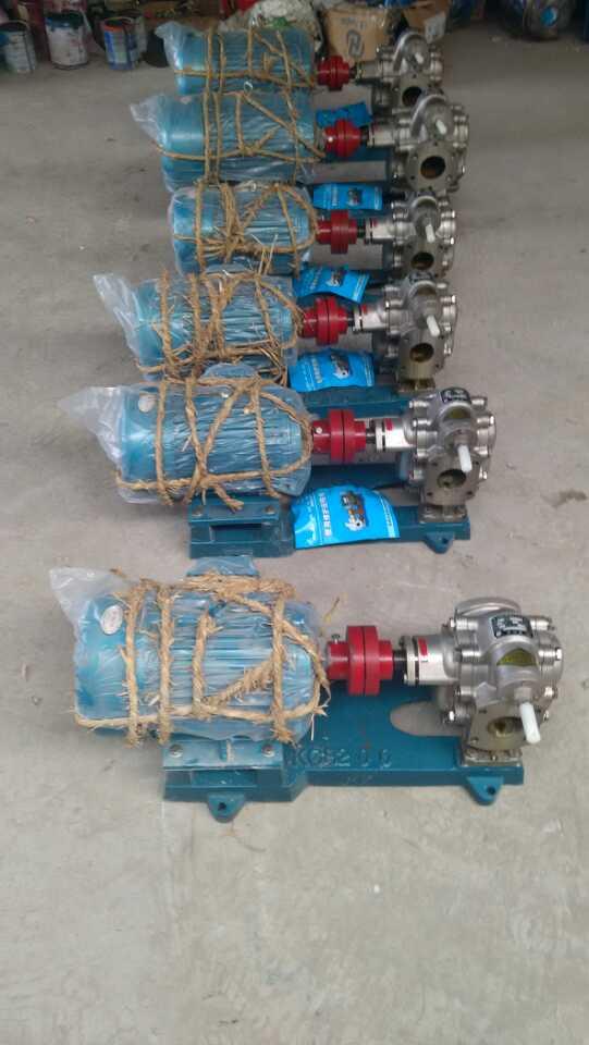 KCB系列齿轮泵厂-12年品牌KCB-300型不锈钢齿轮泵