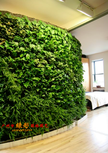 今天说说广州室内植物墙有哪些优点？