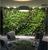 室内办公室墙体 仿真植物墙装饰橱窗