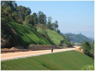 高陡坡面绿化植草大面积喷播施工防雨水冲刷施工绿化锦绣团队