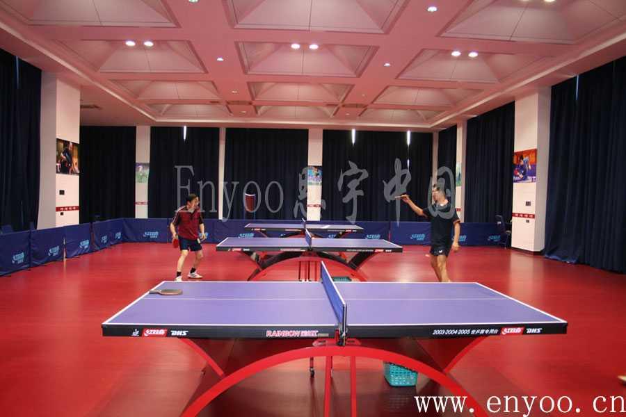 恩宇 乒乓球专用地板 弹性地板 乒乓球PVC地板