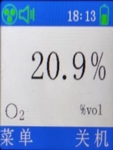 Y20氧气检测仪