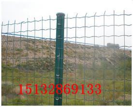 养殖围栏网,围栏网价格,围栏铁丝网