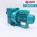 BLAUMAR S2 300-36泵 原装西班牙亚士霸泵ESPA泳池循环过滤泵