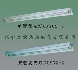 厂家裸价批发CXYG2-1荧光灯