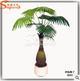 园林绿色棕榈类高品质假仿真植物 室内外酒店造景装饰酒瓶椰子树