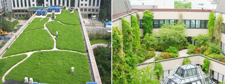 广州屋顶绿化关于斜坡形式和平躺形式的屋顶绿色会有哪些不同点呢