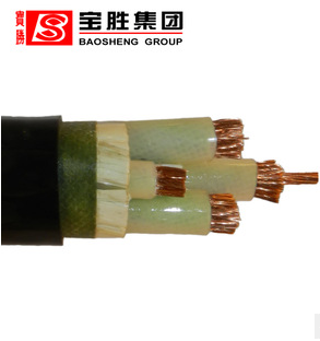 电力电缆 YJV 2×4